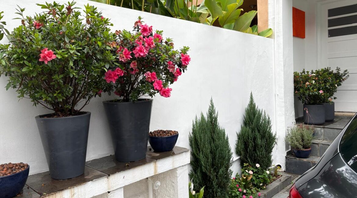 WhatsApp Image 2026-01-19 at 16.26.32 (1)