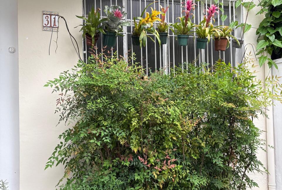 WhatsApp Image 2026-01-19 at 16.26.36